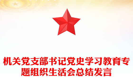 机关党支部书记党史学习教育专题组织生活会总结发言