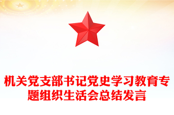 机关党支部书记党史学习教育专题组织生活会总结发言