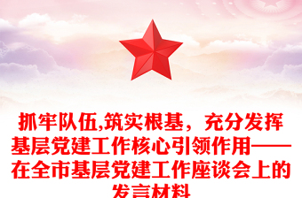 抓牢队伍,筑实根基，充分发挥基层党建工作核心引领作用——在全市基层党建工作座谈会上的发言材料