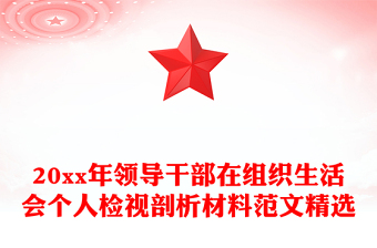 20xx年领导干部在组织生活会个人检视剖析材料范文精选