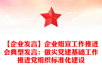 【企业发言】企业组宣工作推进会典型发言：做实党建基础工作推进党组织标准化建设