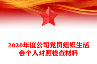 2020年度公司党员组织生活会个人对照检查材料
