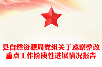 县自然资源局党组关于巡察整改重点工作阶段性进展情况报告