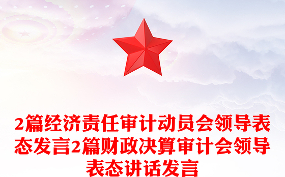 2篇经济责任审计动员会领导表态发言2篇财政决算审计会领导表态讲话发言
