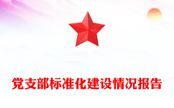 党支部标准化建设情况报告
