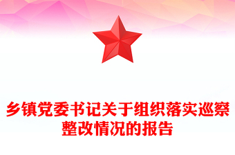 乡镇党委书记关于组织落实巡察整改情况的报告