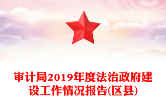 审计局2019年度法治政府建设工作情况报告(区县)