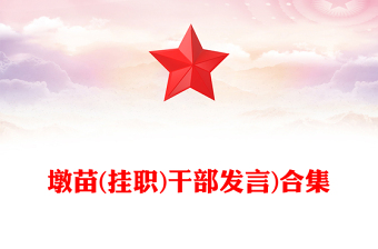 墩苗(挂职)干部发言)合集