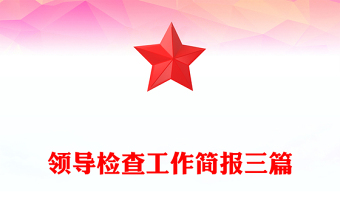 领导检查工作简报三篇