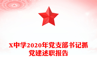 X中学2020年党支部书记抓党建述职报告