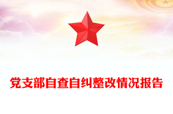 党支部自查自纠整改情况报告