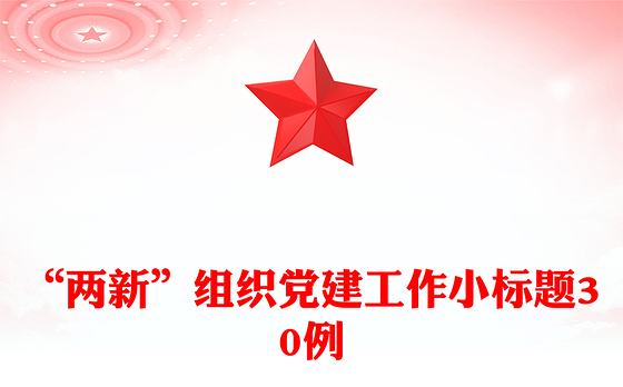 “两新”组织党建工作小标题30例