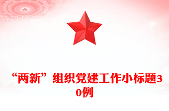 “两新”组织党建工作小标题30例