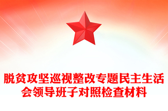 脱贫攻坚巡视整改专题民主生活会领导班子对照检查材料