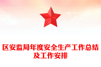 区安监局年度安全生产工作总结及工作安排