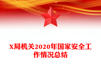 X局机关2020年国家安全工作情况总结