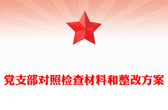 党支部对照检查材料和整改方案