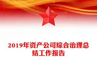 2019年资产公司综合治理总结工作报告