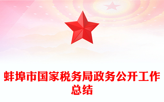 蚌埠市国家税务局政务公开工作总结