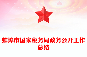 蚌埠市国家税务局政务公开工作总结