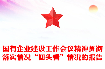 国有企业建设工作会议精神贯彻落实情况“回头看”情况的报告
