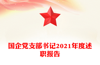 国企党支部书记2021年度述职报告