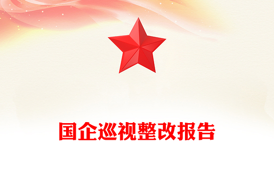 国企巡视整改报告