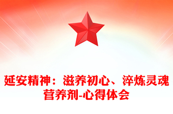 延安精神：滋养初心、淬炼灵魂营养剂-心得体会