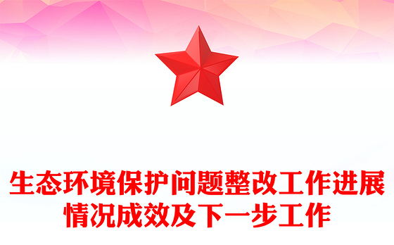 生态环境保护问题整改工作进展情况成效及下一步工作