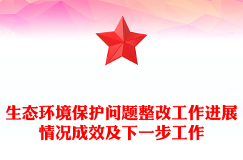 生态环境保护问题整改工作进展情况成效及下一步工作