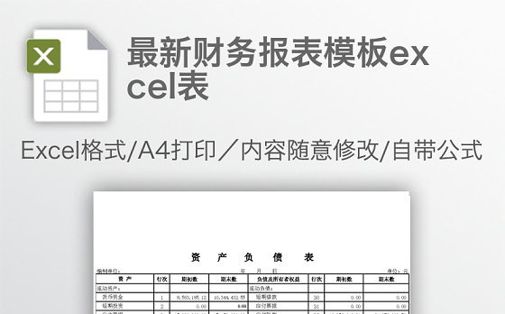 最新财务报表模板excel表